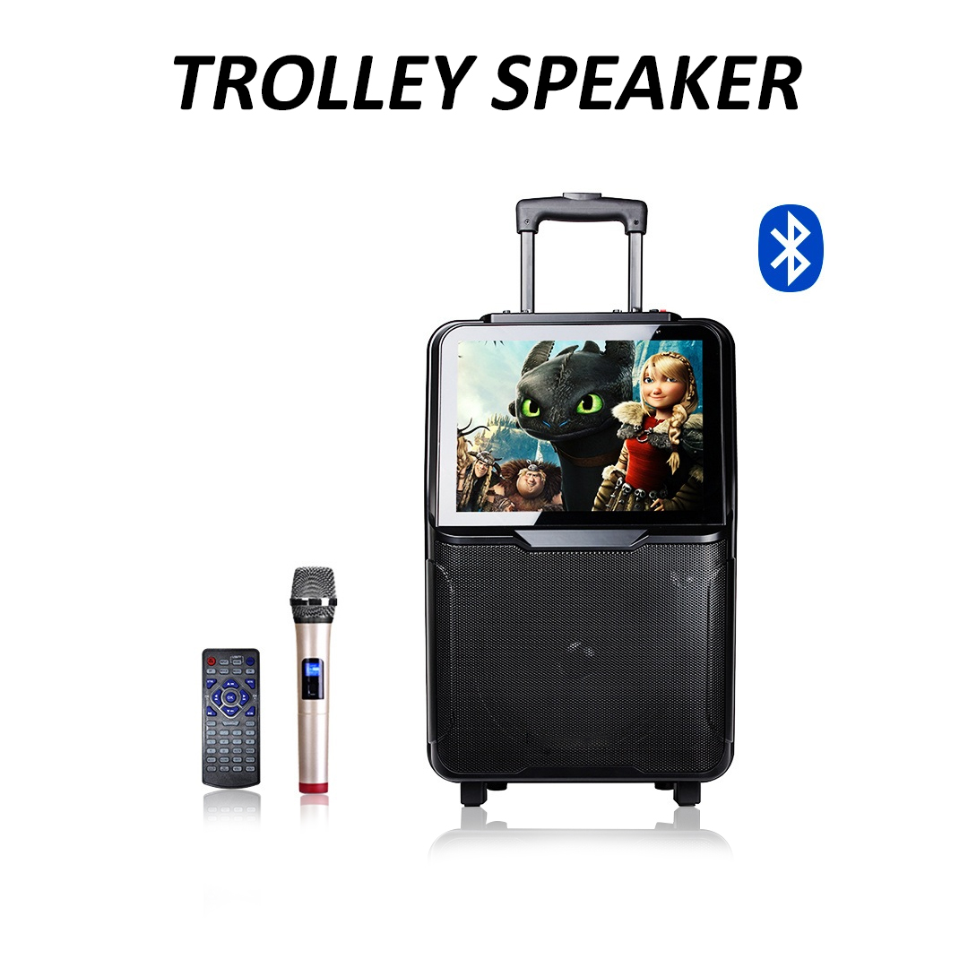 Trolley Wireless Party Speaker with 15" LED Screen Display, TV, Bluetooth and Karaoke System
